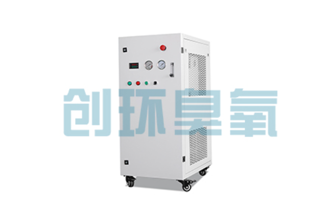 菏泽比传统换水更高效？臭氧发生器在石斑鱼养殖中的水质净化原理解析